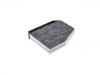 Filter, Innenraumluft Cabin Air Filter:8107040-EY